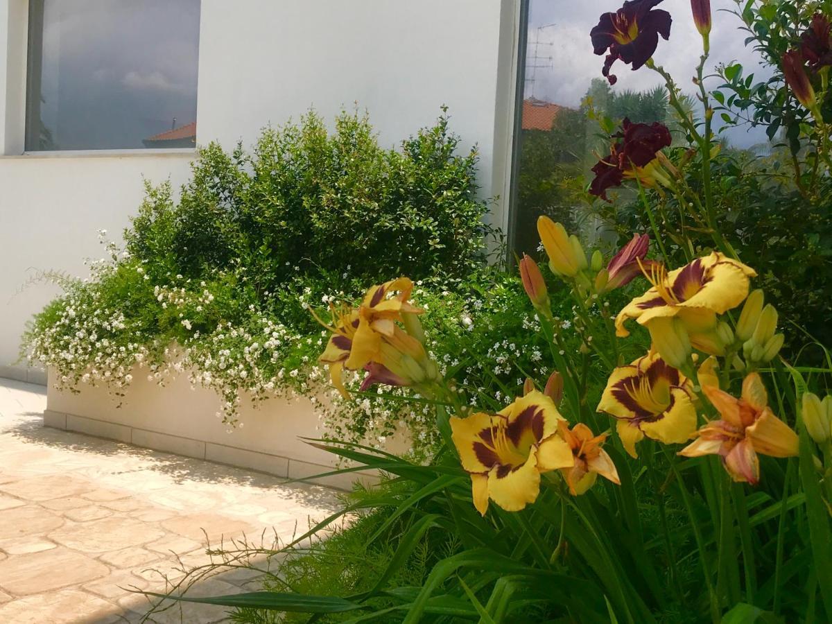 Path House - Etna & Sea View Aparthotel Riposto Exterior photo